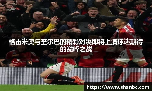 摩根体育