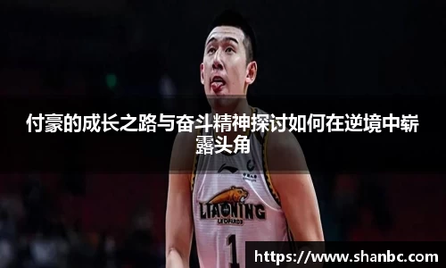 星空电子首页网站