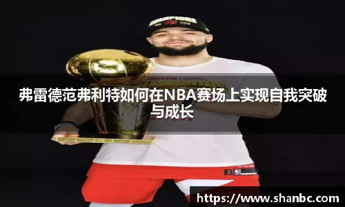 星空电子首页网站