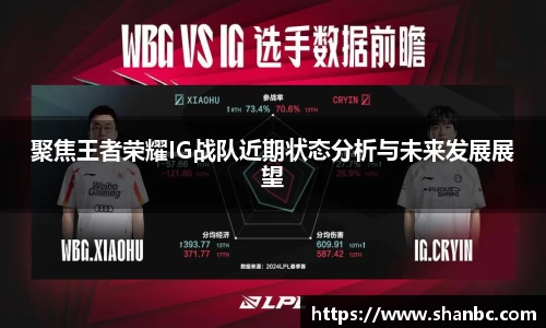 聚焦王者荣耀IG战队近期状态分析与未来发展展望